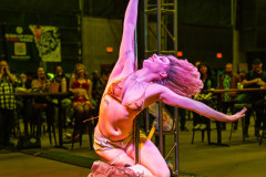 250404_ABW_2025_1195