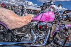 250403_ABW_2025_092-2